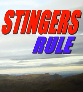 Stingers Rule!