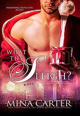 What the Sleigh? (Paranormal Protection Agency #10)