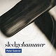 Sledgehammer (Single)