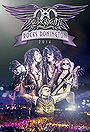 Aerosmith Rocks Donington 2014