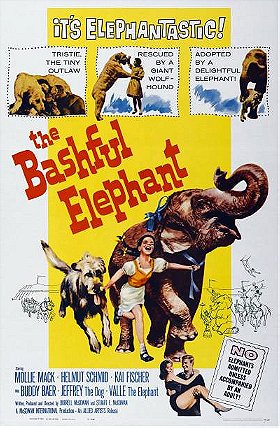 The Bashful Elephant