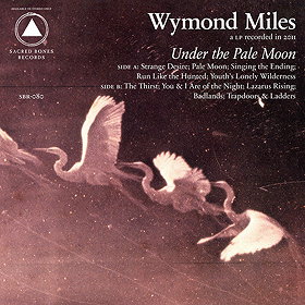 Under The Pale Moon