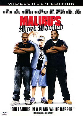 Malibu's Most Wanted (Widescreen Edition)