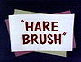 Hare Brush