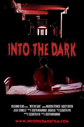 Into the Dark