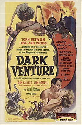 Dark Venture