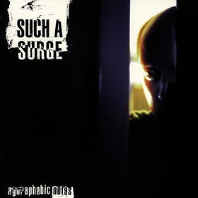 Agoraphobiac Notes
