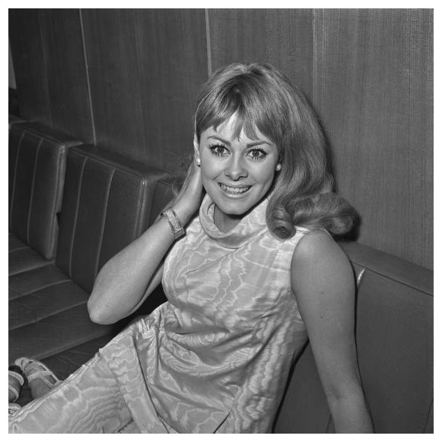 Ann Sidney