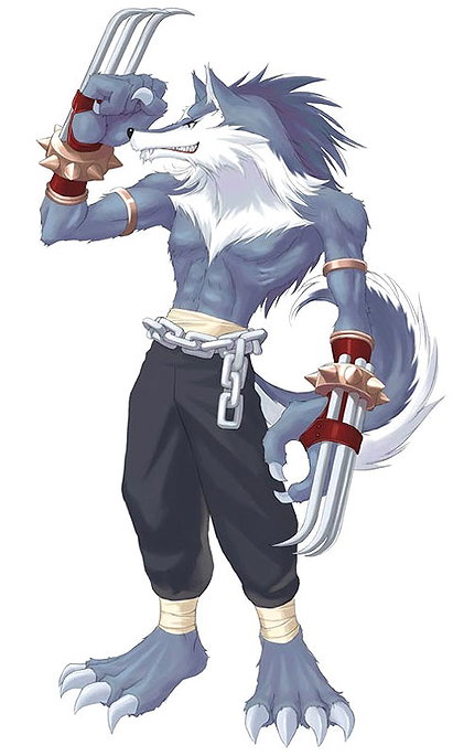Volg