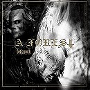 A Forest [Explicit]
