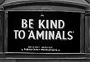 Be Kind to 'Aminals'