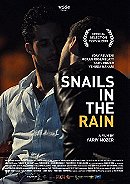 Snails In The Rain