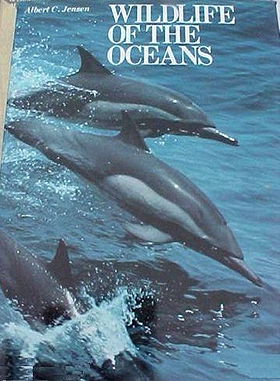 Wild Life of the Oceans