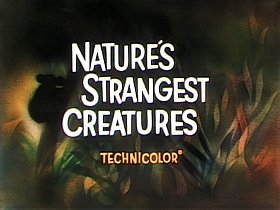 Nature's Strangest Creatures