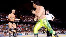 Ricky Steamboat vs. Steve Austin (7/17/94)