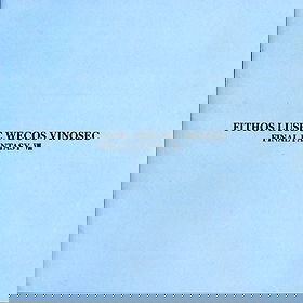 Final Fantasy VIII: Fithos Lusec Wecos Vinosec