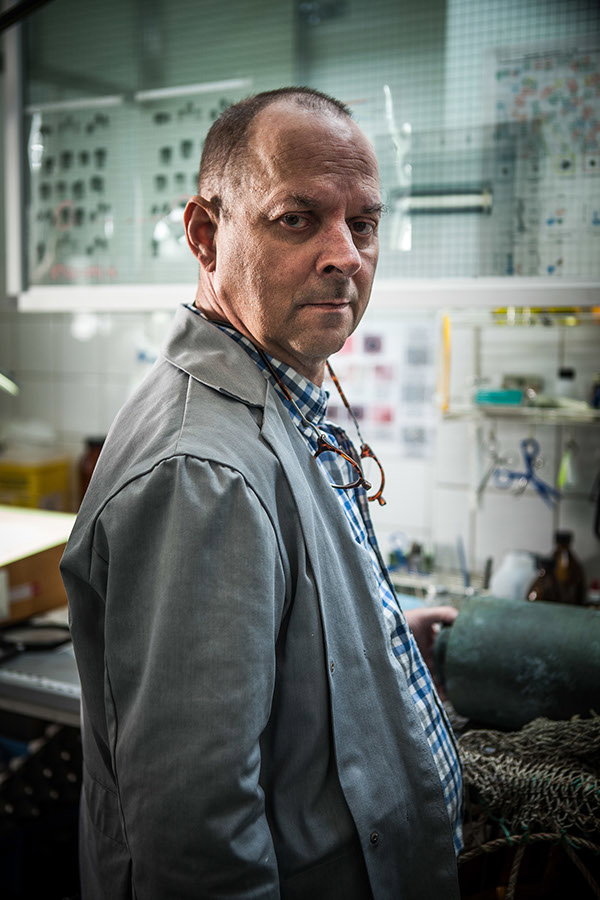 Mats Bergman
