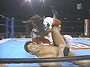 Jushin Liger vs. Shinjiro Otani (1996/03/17)