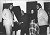 The Harptones