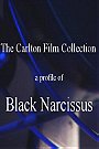 The Carlton Film Collection: A Profile of 