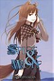 Spice And Wolf, Vol. 4 - Novel