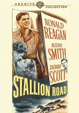 Stallion Road (Warner Archive Collection)