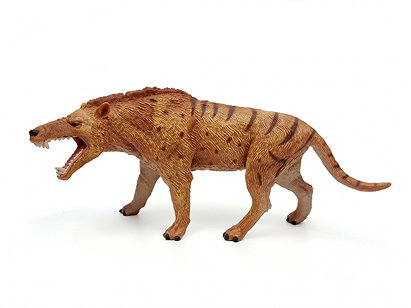 Andrewsarchus 1:20 Scale