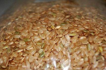Brown Rice (Hulled Rice, Unmilled Rice)