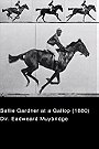 Sallie Gardner at a Gallop (1878)