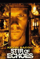 Stir of Echoes  