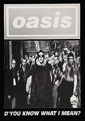 Oasis: D'You Know What I Mean?