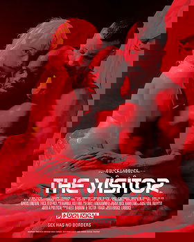 The Visitor