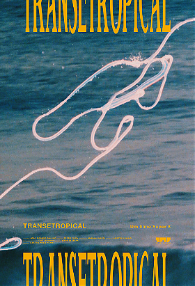 Transetropical