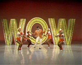 The Ken Berry 'Wow' Show