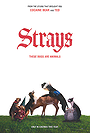 Strays