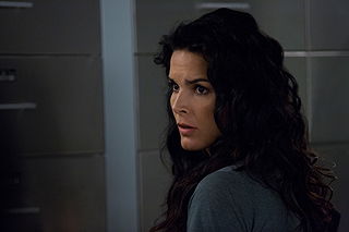 Angie Harmon pictures and photos