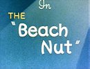 The Beach Nut