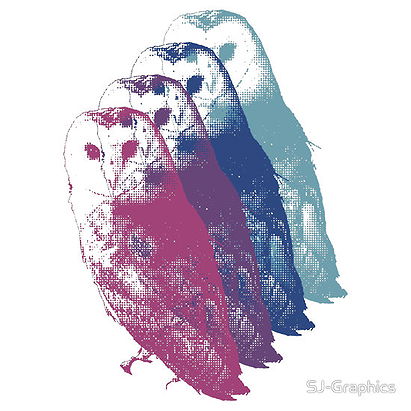 Owls