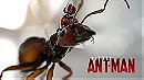 LITTLE ANT-MAN