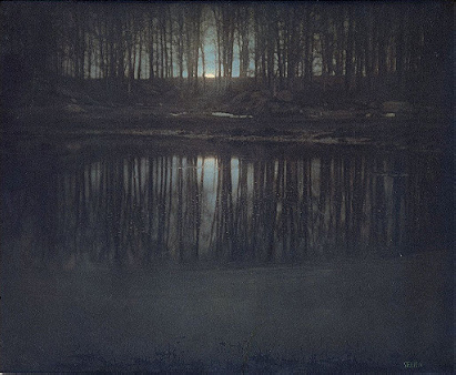 The Pond—Moonlight