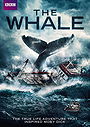 The Whale