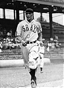 Ray Brown (baseball)