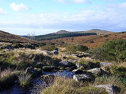 Dartmoor