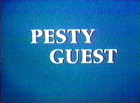 Pesty Guest