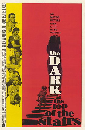 The Dark at the Top of the Stairs                                  (1960)