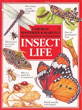 Insect Life (Mysteries & Marvels)