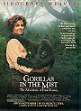 Gorillas In The Mist: The Story Of Dian Fossey