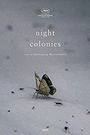 Night Colonies