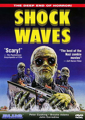 Shock Waves