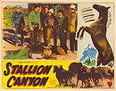 Stallion Canyon